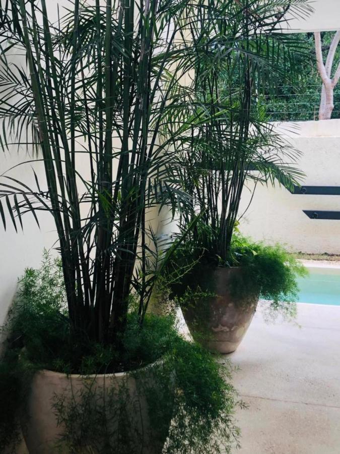 Casa Leo Apartment Tulum Exterior foto